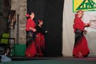 IMG_1133
