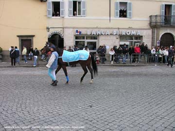 carnevale