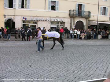 carnevale