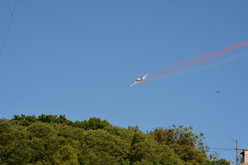 DSC_5415
