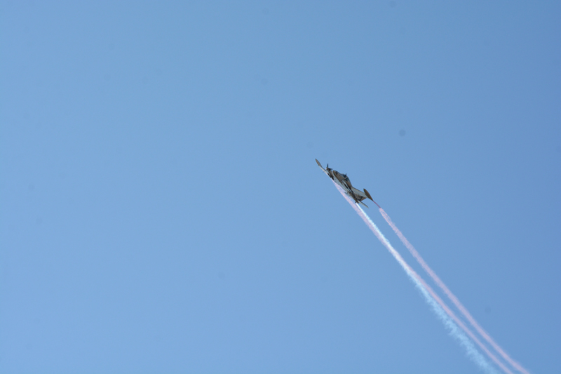 DSC_5419