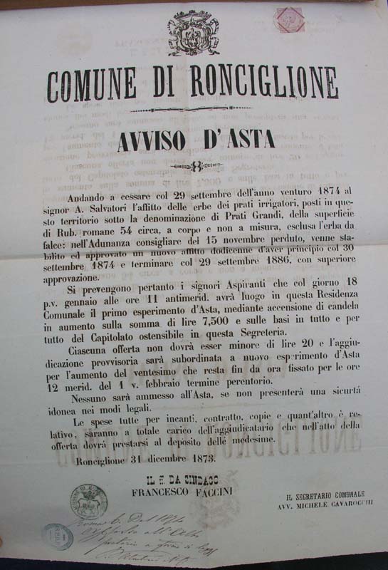 1873 -1- Comune di Ronciglione-Avviso d'asta