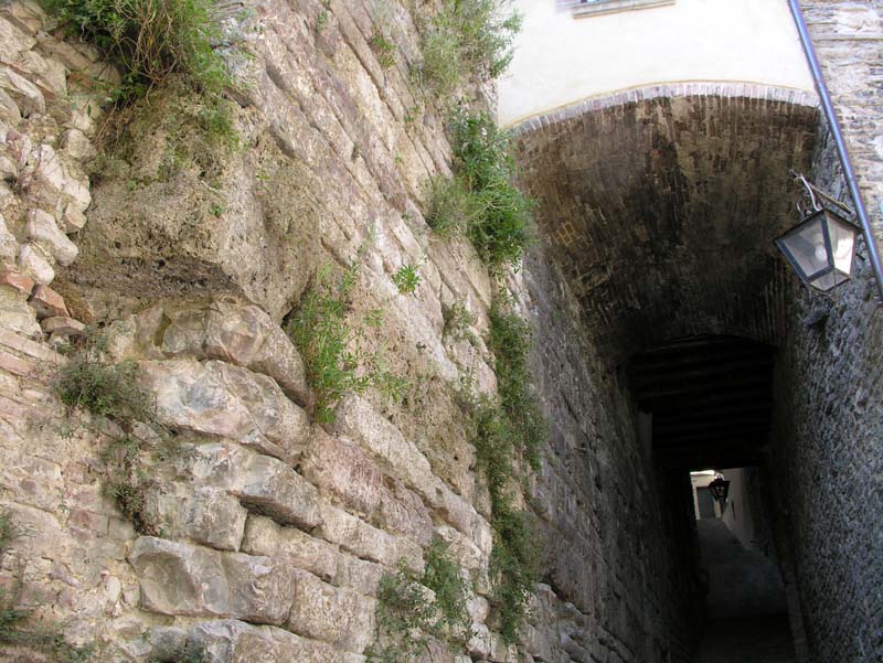 Centro Ricerche studi Ronciglione - gita a Spoleto - 22